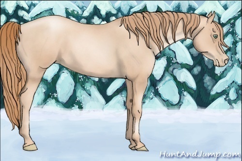 Horse Color:Gold Champagne Roan Pearl 