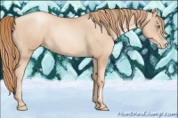 Horse Color:Gold Champagne Roan Pearl 
