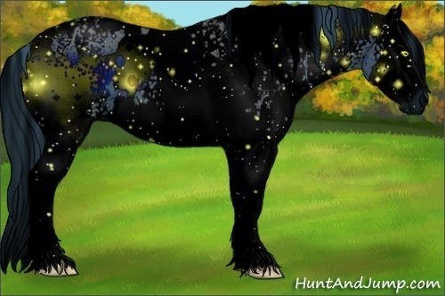 Horse Color:ERROR: UNKNOWN ANOMALY