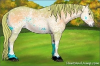 Horse Color:Watercolor Red Onyx Ice