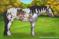 Horse Color:Brown Ice 