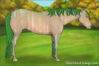 Horse Color:Watercolor Amber Champagne Ice 