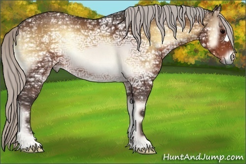 Horse Color:Silver Bay Ice Onyx 
