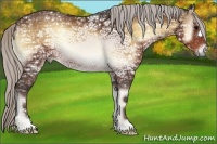 Horse Color:Silver Bay Ice Onyx 