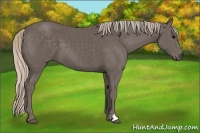 Horse Color:Silver Black 