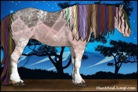 Horse Color:Painted White Spotted Liver Chestnut Ice Tobiano Rabicano 