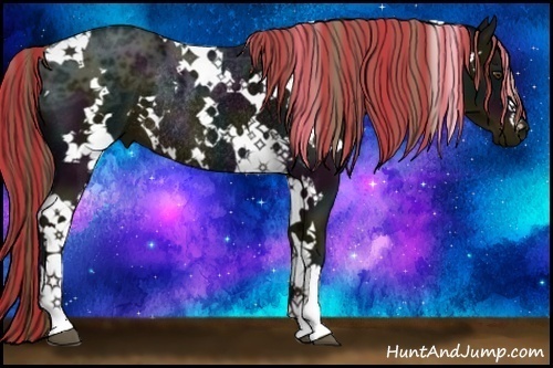 Horse Color:Painted White Spotted Midnight Liver Chestnut Ice Rabicano