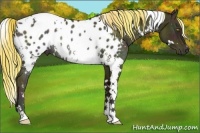 Horse Color:White Spotted Midnight Chestnut Ice Pearl Blanket Rabicano 