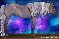 Horse Color:White Spotted Silver Grullo 