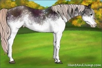 Horse Color:White Spotted Midnight Silver Black Ice Rabicano