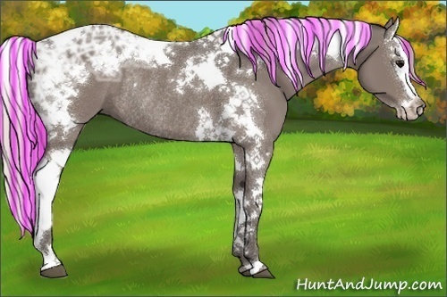 Horse Color:Painted Silver Black Ice Splash Tobiano Rabicano 