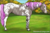Horse Color:Painted Silver Black Ice Splash Tobiano Rabicano 