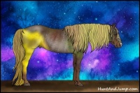 Horse Color:Liver Chestnut Rabicano