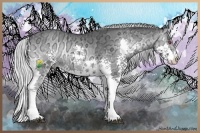 Horse Color:Silver Blue Onyx Chinchilla Ice Splash 