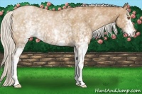 Horse Color:White Spotted Silver Black Pearl 
