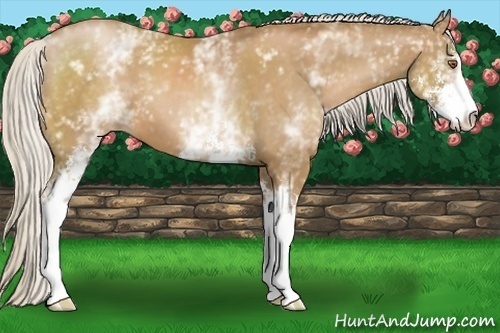 Horse Color:White Spotted Silver Black Pearl Sabino