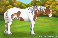 Horse Color:Silver Brown Sabino Tobiano