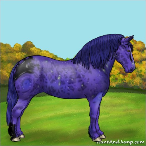 Horse Color:ERROR: UNKNOWN ANOMALY