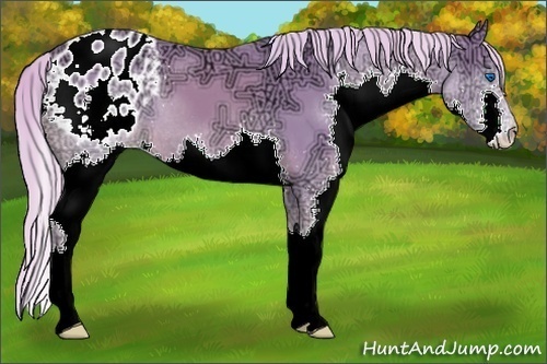 Horse Color:Watercolor Chestnut Ice Splash Varnish