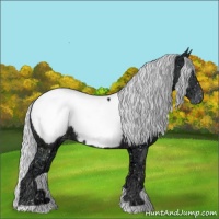 Horse Color:Silver Black Chinchilla Ice Appaloosa 