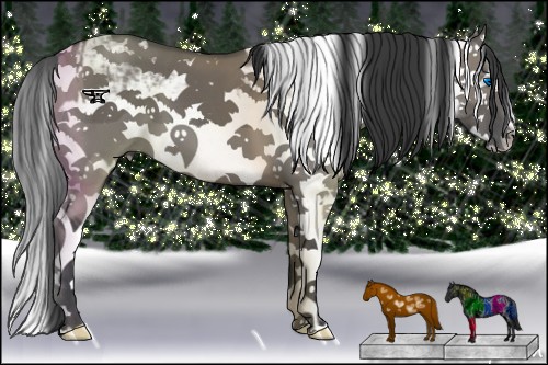 Horse Color:Grullo Sabino Splash  and Grullo Sabino Splash 