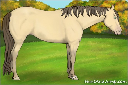 Horse Color:Amber Cream Champagne 