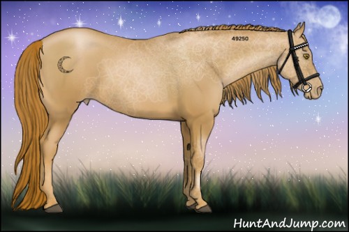 Horse Color:Chestnut Pearl