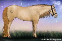 Horse Color:Chestnut Pearl