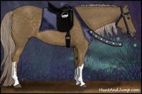 Horse Color:Chocolate Palomino Rabicano 