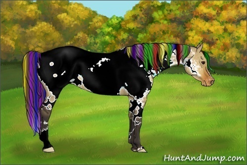 Horse Color:Painted White Spotted Buckskin Dun Near Fewspot 
