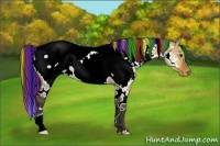 Horse Color:Painted White Spotted Buckskin Dun Near Fewspot 