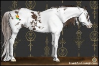 Horse Color:Liver Chestnut Sabino 
