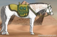 Horse Color:White Spotted Bay Dun Splash  and White Spotted Bay Dun Splash 