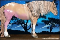 Horse Color:Gold Champagne Tobiano