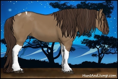 Horse Color:Liver Red Dun Tobiano