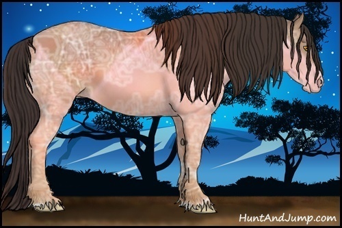 Horse Color:Sable Champagne Ice Sabino