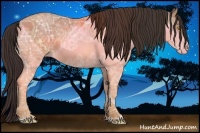 Horse Color:Sable Champagne Ice Sabino