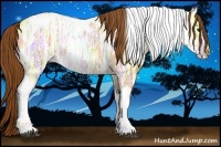 Horse Color:Red Dun Ice Tobiano Rabicano