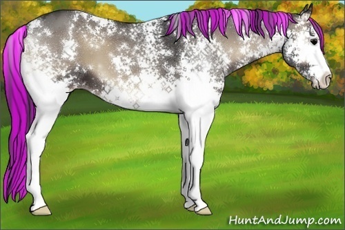 Horse Color:Painted White Spotted Blue Onyx