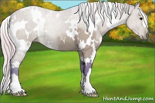 Horse Color:Watercolor White Spotted Silver Black