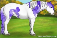 Horse Color:Watercolor Black Splash Tobiano