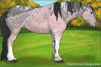 Horse Color:Black Ice Tobiano Varnish 