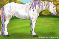 Horse Color:Painted Silver Grullo Ice Tobiano Appaloosa Rabicano 