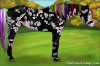 Horse Color:Painted Chestnut Tobiano Appaloosa Rabicano 