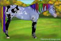 Horse Color:Gray Painted White Spotted Sable Cream Champagne Dun Blanket Rabicano 