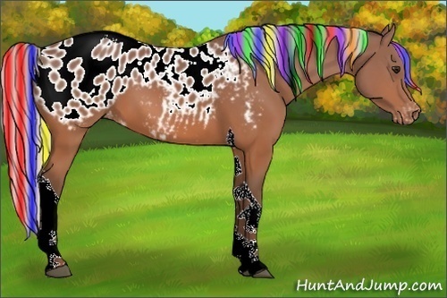 Horse Color:Painted Silver Bay Tobiano Blanket Rabicano