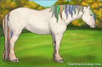 Horse Color:Painted White Spotted Gold Champagne Ice Dun
