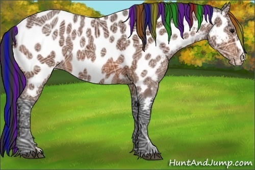 Horse Color:Painted Bay Ice Frame Appaloosa 