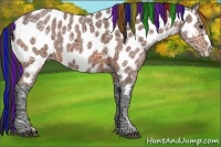 Horse Color:Painted Bay Ice Frame Appaloosa 