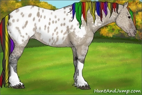Horse Color:Painted Brown Ice Dun Tobiano Appaloosa Rabicano 